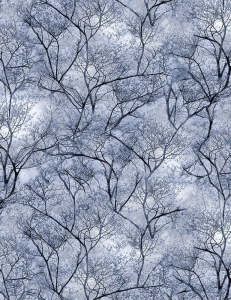 Snowscape: Glacier C 6132-Glacier